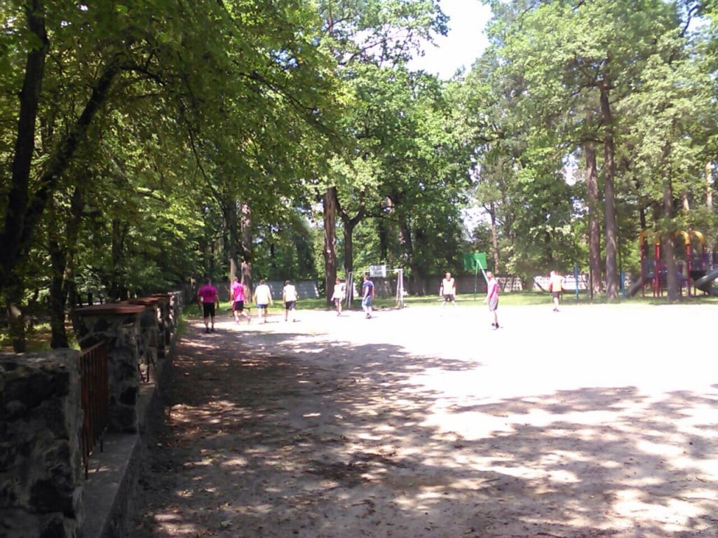 Image-1 (1)